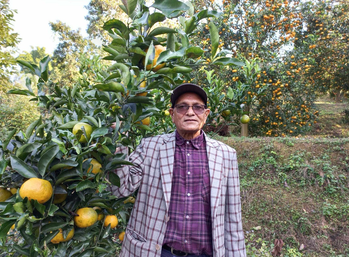 तनहुँका सुन्तला कृषक तथा कृषिविज्ञ रामबहादुर थापाकाे पाैरख